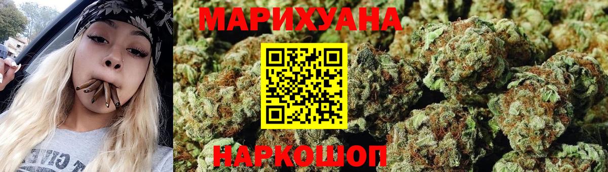 Бошки Шишки планчик Павлово
